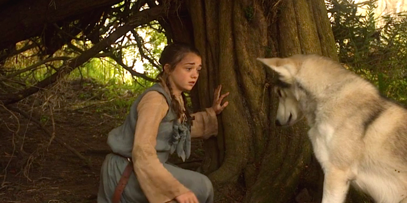 Illustration for article titled 10 Questions We're Worried Game of Thrones Is Never Going to AnswerÂ
